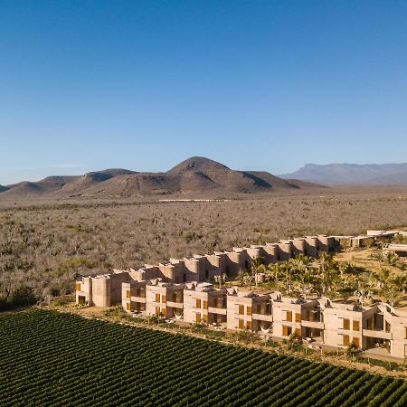 Paradero Todos Santos - Exclusive Experiences Included Luaran gambar