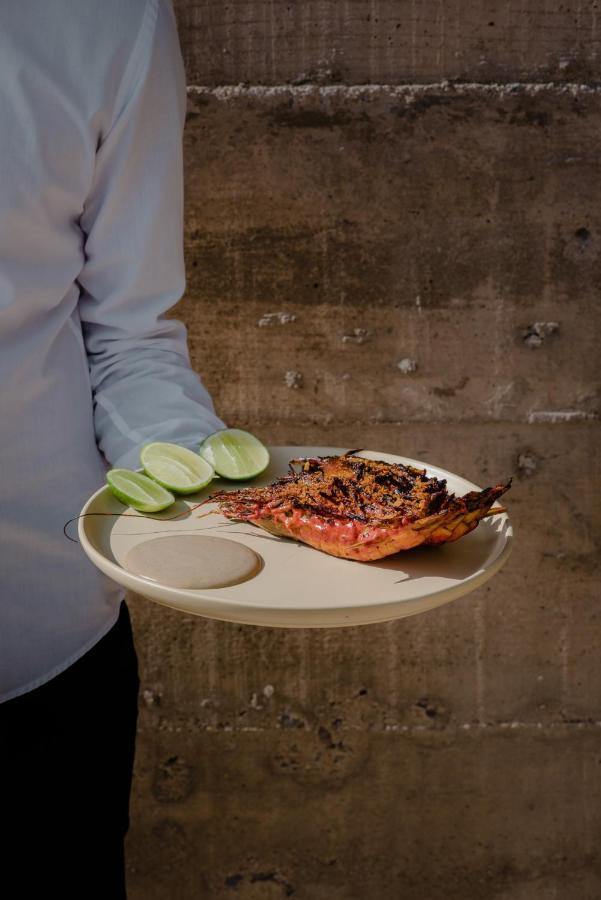 Paradero Todos Santos - Exclusive Experiences Included Luaran gambar
